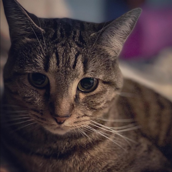 Meet your Posher, Michael - Picture 1 of 1